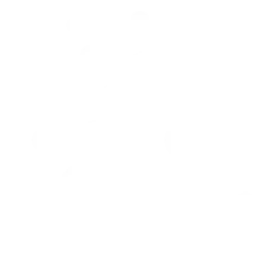 Cardano Buidler Fest #1 Logo